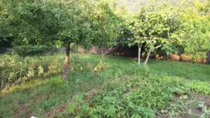Garten04