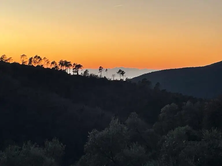 Blick auf die Seealpen vom Haus aus