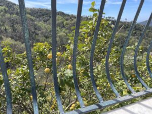 Balkon06