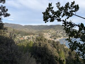BuchtMoneglia05