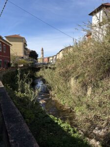 FlusslaufMoneglia01
