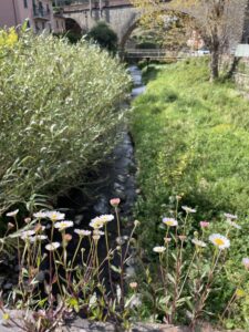FlusslaufMoneglia02