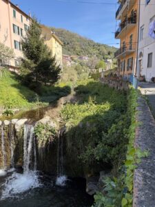FlusslaufMoneglia04