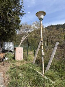 Garten02