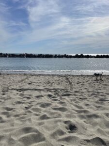 MonegliaStrand01