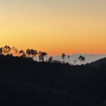 SonnenuntergangInLittorno