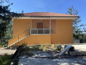 Haus04